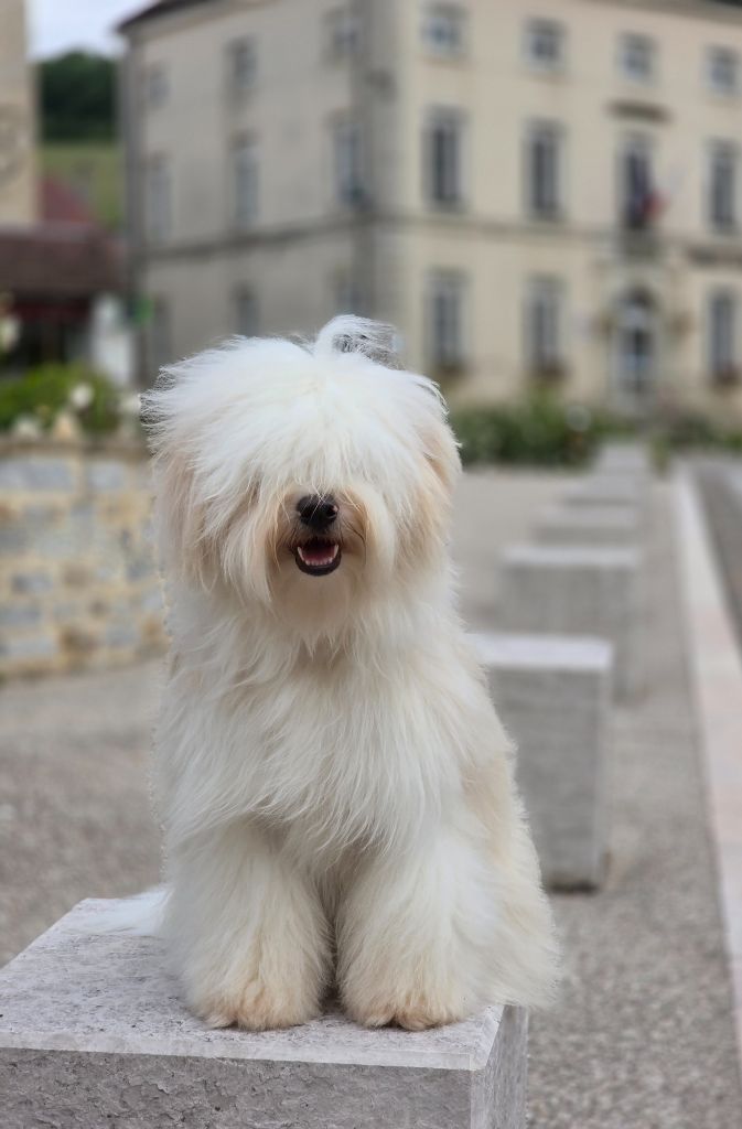 Vanille Du Domaine Des Jolies Taches